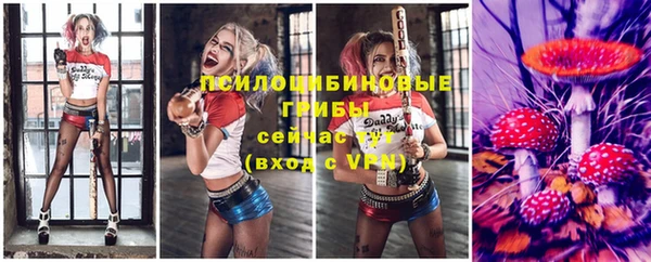 синтетический гашиш Алексин