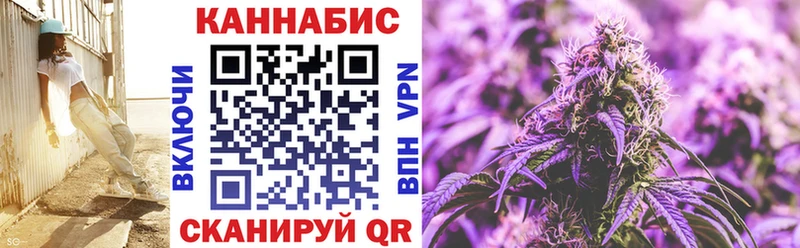 omg   закладка  Олонец  Бошки марихуана OG Kush 
